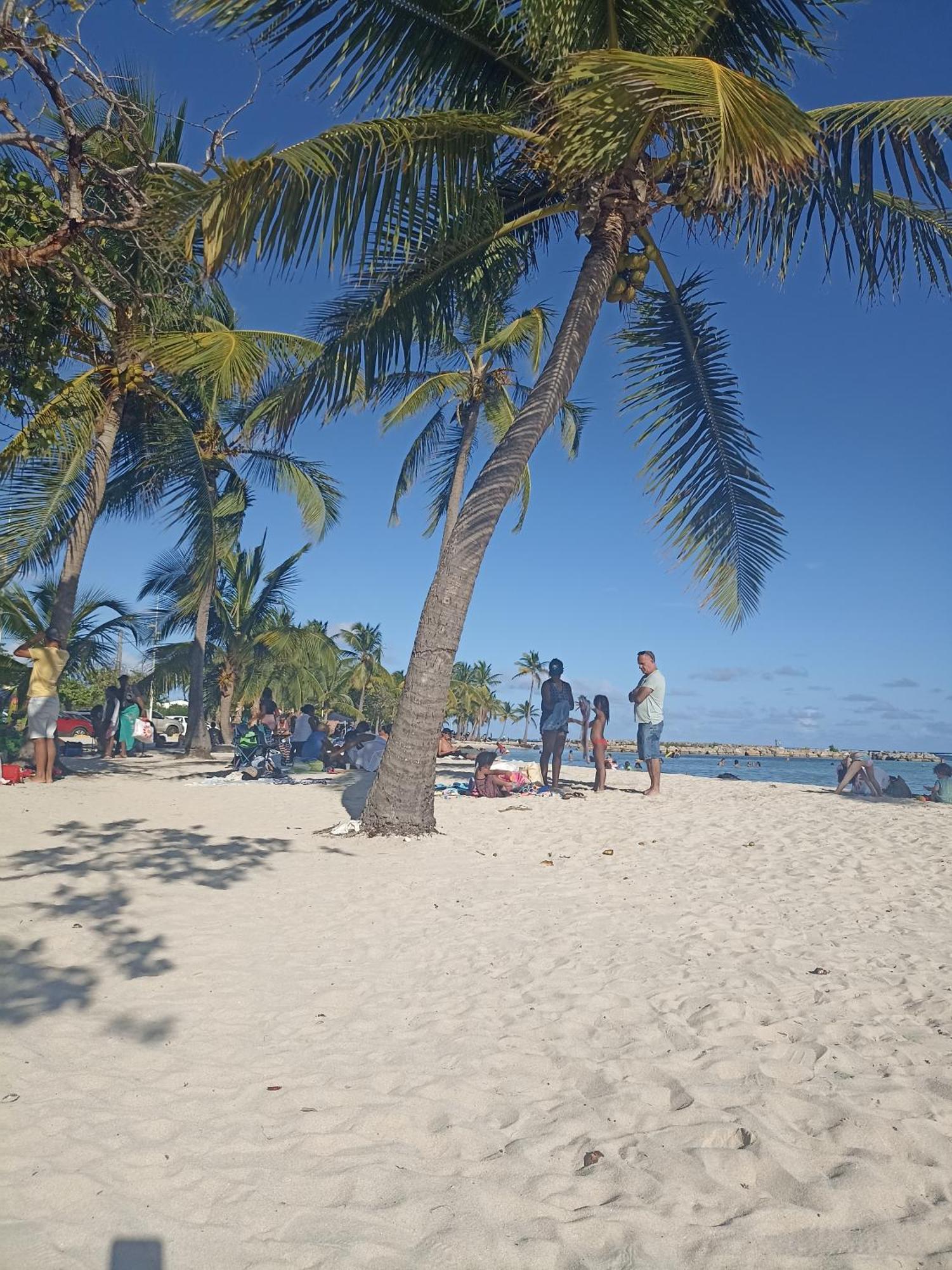 Hotel La Canopée Enchantée Les Abymes Esterno foto